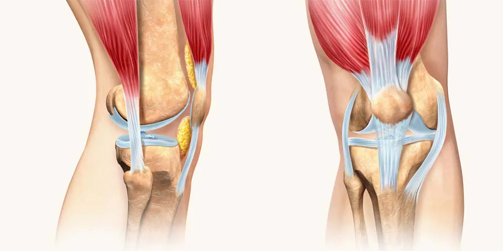 Knee-Pain-When-Squatting